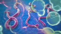 Η πιο τρομακτική ασθένεια της Αφρικής, Ebola ο αιμορραγικός πυρετός, με θνησιμότητα έως 90%