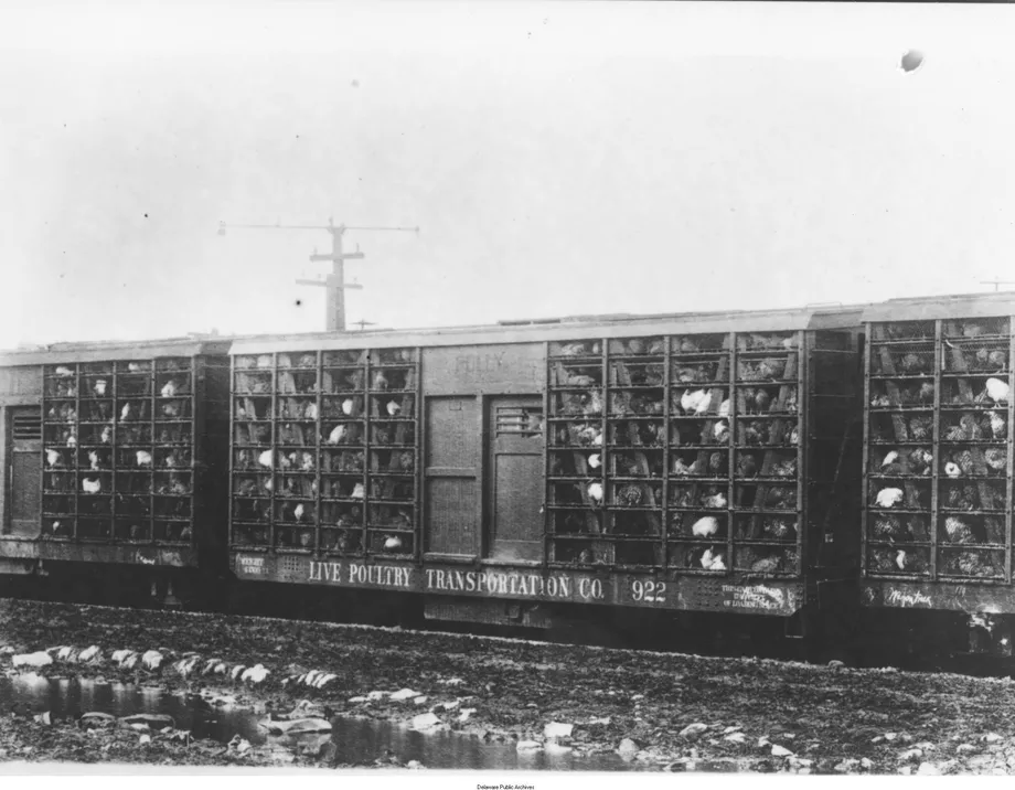 Freight_cars_of_poultry__Delaware__1932__Delaware_Public_Archives_RG_1380__1_.webp