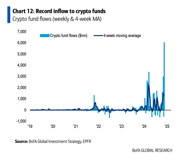 bofa5.webp