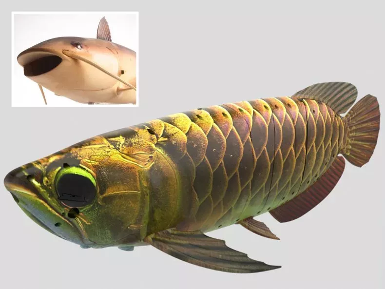 composite-image-robotic-fish.webp