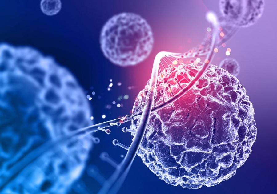 Σημαντική ανακάλυψη ομάδας πρωτεϊνών, ανοίγει τον δρόμο για εμβόλιο κατά του καρκίνου του ήπατος