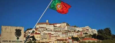 Πορτογαλία: Οργή από τη σφαγή εκατοντάδων ελαφιών και αγριογούρουνων σε «κυνηγετική εξόρμηση»