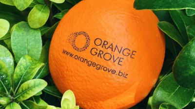 Ελληνικές startup στο πρόγραμμα του Orange Grove