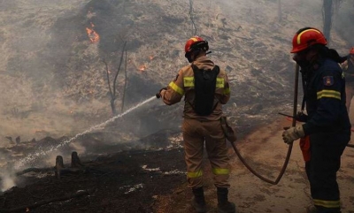 Βιβλική καταστροφή από τις πυρκαγιές στην Αττική – Βελτιωμένη η εικόνα, σε επιφυλακή οι πυροσβεστικές δυνάμεις για αναζωπυρώσεις