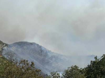 Ολονύχτια μάχη με τις φλόγες στον Παλαμπά Θεσπρωτίας – Ζητήθηκε η απομάκρυνση των κατοίκων