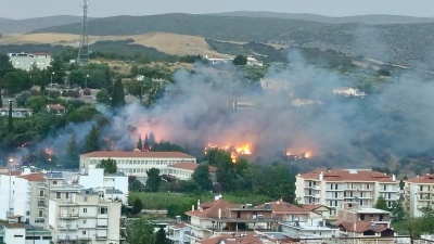 Συναγερμός στη Λειβαδιά - Μεγάλη φωτιά καίει κοντά σε σπίτια, μάχη τις πυροσβεστικής με τις φλόγες