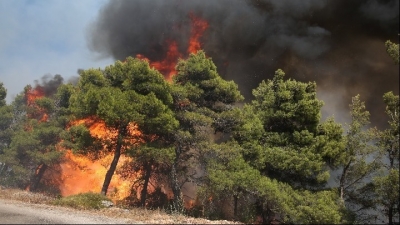 Μεγάλη πυρκαγιά στη Λέσβο