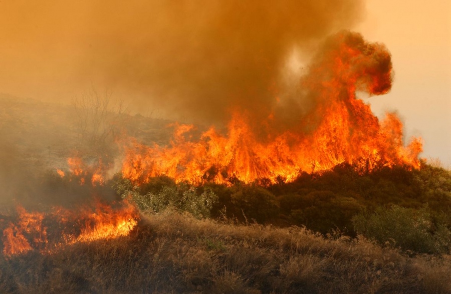 Ηρωική μάχη των πυροσβεστών με τις φλόγες στην Εύβοια – Ελέγχουν τα πύρινα μέτωπα κόντρα στους δυνατούς ανέμους