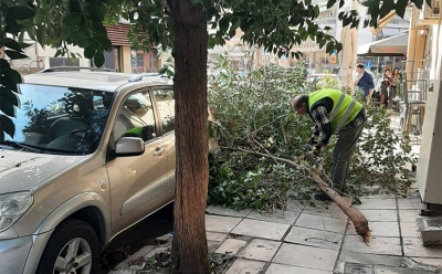 Ισχυροί άνεμοι ξερίζωσαν δέντρα στη Θεσσαλονίκη –Δεκάδες κλήσεις στην Πυροσβεστική