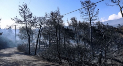 Σε ύφεση η μεγάλη πυρκαγιά στην Κορινθία λόγω εξασθένησης των ανέμων – Εικόνες σοκ από το μέγεθος της καταστροφής