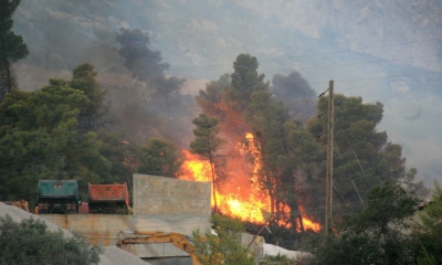 Δήμαρχος Πύργου: Αποτέλεσμα εμπρησμού η πυρκαγιά στην Ηλεία - Ξέσπασαν 4 εστίες σε απόσταση ενός χιλιομέτρου