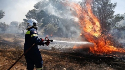 Δασική πυρκαγιά στην Αργολίδα - Μήνυμα του 112 για εκκένωση της περιοχής Δάρδιζα