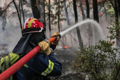 Πυροσβεστική: 34 αγροτοδασικές πυρκαγιές το τελευταίο 24ωρο στη χώρα