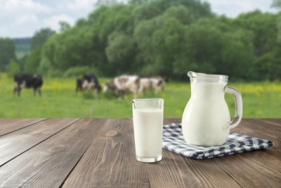 Θεσσαλία: Έλεγχος σε βιομηχανία έδειξε έλλειμμα 50 τόνων σε προϊόντα γάλακτος