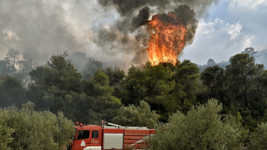 Συναγερμός στο Πήλιο - Μεγάλη φωτιά ξέσπασε στον Πλατανιά