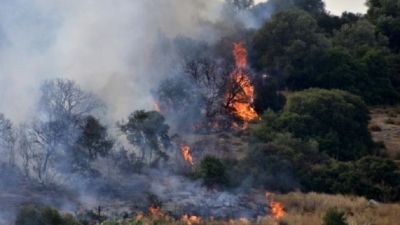 Χαρδαλιάς: 51 πυρκαγιές σε όλη τη χώρα – Καλύτερη εικόνα στον Βαρνάβα, δεν κινδυνεύουν οικίες στην Εύβοια