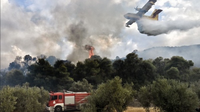 Βοιωτία: Πυρκαγιά στον Διόνυσο Ορχομενού - Και εναέρια μέσα στην κατάσβεση