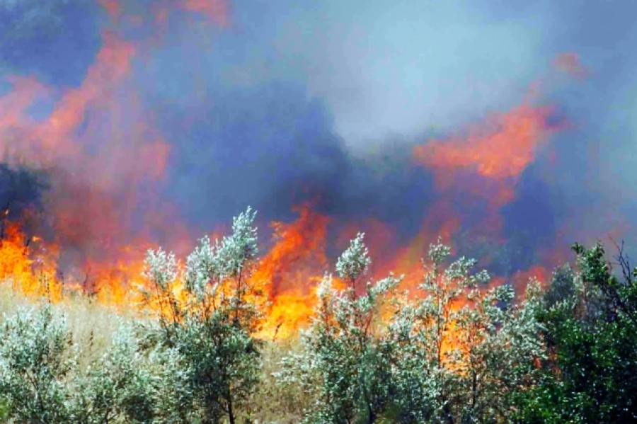 Τουλάχιστον 29 πυρκαγιές σε ένα 24ωρο σε όλη την Ελλάδα – Ερευνώνται τα αίτια