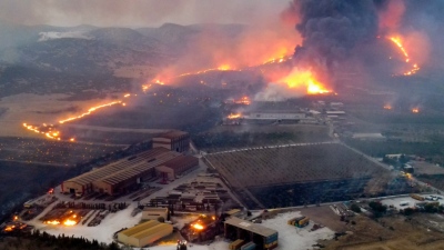 Συναγερμός στον Βόλο, μεγάλη πυρκαγιά σε εργοστάσιο - Έσπευσε στη ΒΙΠΕ η Πυροσβεστική