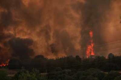 Εύβοια: Δύσκολη η κατάσταση στα Βασιλικά - Στον οικισμό οι φλόγες
