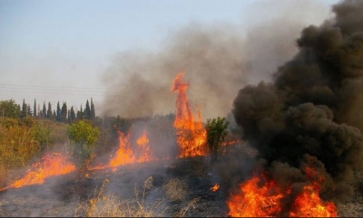 Σε ύφεση βρίσκονται οι πυρκαγιές σε Κέρκυρα – Ιεράπετρα