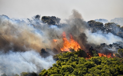 Σκληρή μάχη των πυροσβεστών με τις φλόγες στη Σάμο – Μετανάστες ήταν δίπλα στη φωτιά