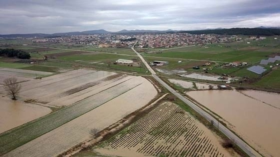 Μετά την καταστροφή της Δαδιάς, ο Έβρος εκτελείται ξανά: 212.000 στρέμματα κινδυνεύουν με ολική καταστροφή – Σε απόγνωση οι κάτοικοι