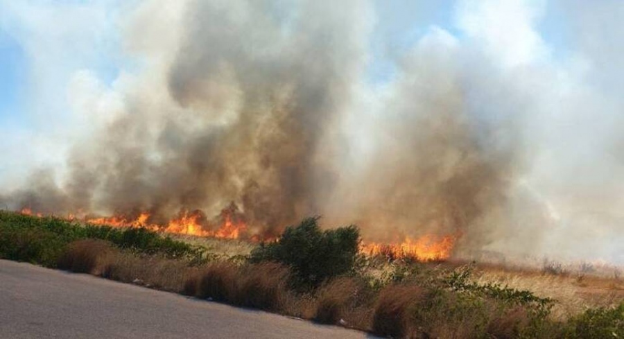 Υπό μερικό έλεγχο η πυρκαγιά στην Αμαλιάδα