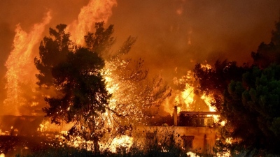 Μάρτυρες στη δίκη για το Μάτι: Δεν μας ειδοποίησε κανείς, δεν υπήρχε καμία οργάνωση, όσοι σωθήκαμε ήταν από τύχη