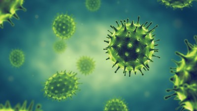 Συναγερμός για τον νέο φονικό ιό Τσαπάρε που μεταδίδεται από άνθρωπο σε άνθρωπο