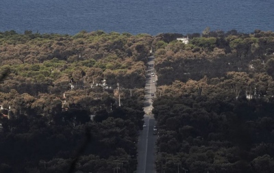 Μάτι: Εγκρίθηκε το πολεοδομικό σχέδιο της πληγείσας περιοχής – Αναλυτικά οι παρεμβάσεις