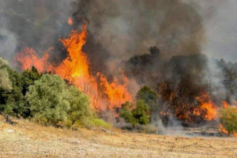 Αμφιλοχία: Πυρκαγιά σε δασική έκταση στην περιοχή Αριάδα