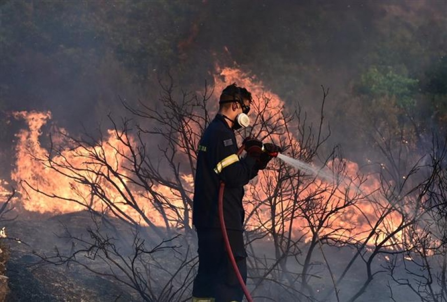 Πυρκαγιά σε αγροτοδασική έκταση στην Καρυδιά Κομοτηνής – Μήνυμα από το 112