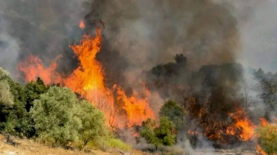 Μετά από σκληρή μάχη με τις φλόγες οι πυροσβέστες έθεσαν υπό έλεγχο τη φωτιά στη Μεσσηνία