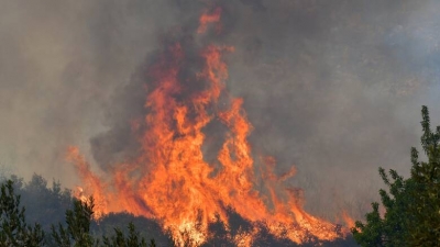 Mαίνεται η φωτιά στην Πάτρα, στις φλόγες παραδόθηκαν σπίτια - Σε ύφεση η φωτιά στην Ελεκίστρα
