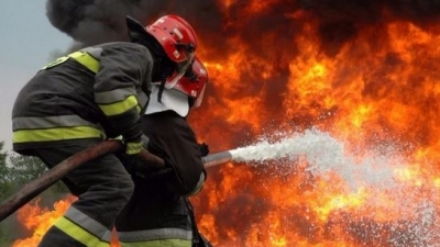 Πυρκαγιά σε αγροτοδασική έκταση στην Άσκρη Βοιωτίας - Σο σημείο οι πυροσβεστικές δυνάμεις