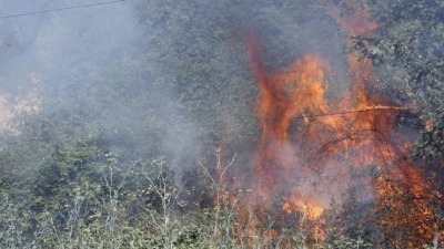 Πυρκαγιά ξέσπασε σε δασική έκταση στον Άγιο Μάμα στη Λακωνία – Με ισχυρές δυνάμεις η Πυροσβεστική στη μάχη με τις φλόγες