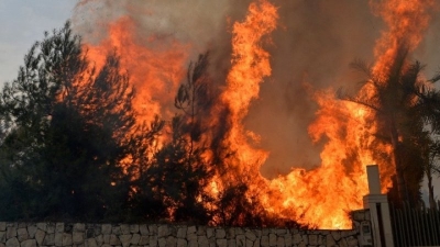 Ιταλία: Από την αρχή του χρόνου κάηκαν 1.580.000 στρέμματα δασικών εκτάσεων στη χώρα