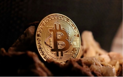 Η κυριαρχία του Bitcoin υποχωρεί κάτω από 50% – Έρχεται η εποχή των altcoins;