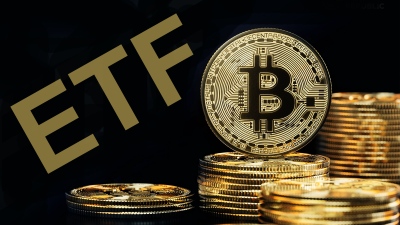 BlackRock και Fidelity Bitcoin ETFs - Τα ETH ETFs και τα meme coins θα ξεπεράσουν την απόδοσή τους το 2025