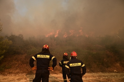 Δραματικές δηλώσεις του Δημάρχου Μαραθώνα: «Έχει καεί σχεδόν το 30% του Δήμου μας»