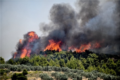 Συναγερμός στην πυροσβεστική – Πολύ υψηλός κίνδυνος πυρκαγιάς την Κυριακή (4/8)