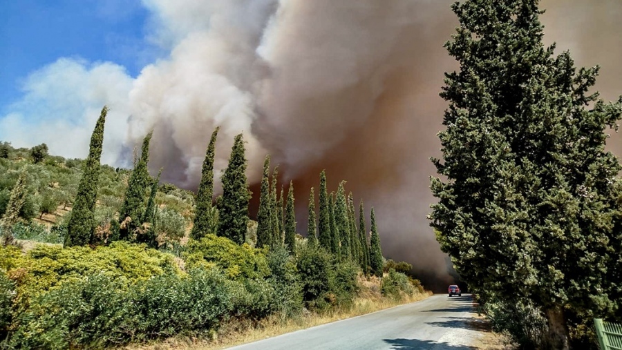 Καλύτερη η εικόνα της φωτιάς στην Εύβοια - Διάσπαρτες εστίες - Σε επιφυλακή οι δυνάμεις της Πυροσβεστικής