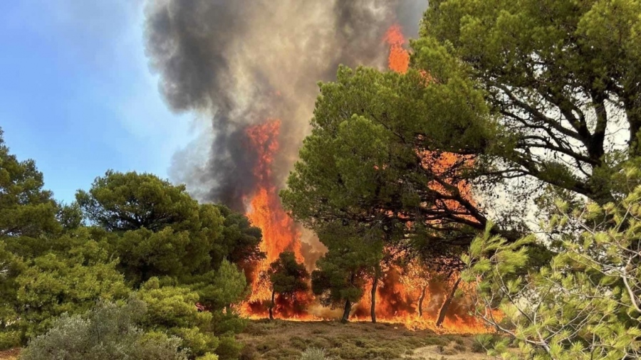 Κινητοποίηση για την πυρκαγιά στην Κερατέα: Επεκτάθηκε κοντά στη Λεωφόρο Λαυρίου – Ποιοι δρόμοι είναι κλειστοί