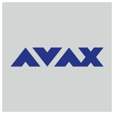Μιτζάλης (AVAX): Απαραίτητη μία πανστρατιά για την γρήγορη δημοπράτηση νέων έργων