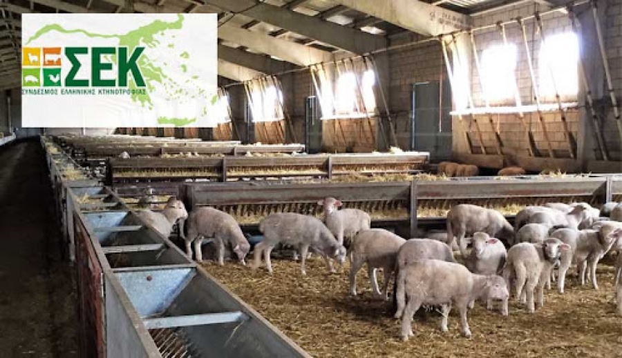 Πλήγμα στον κτηνοτροφικό κλάδο, λόγω κορωνοϊού - Τι ζητά από την κυβέρνηση ο ΣΕΚ