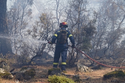 Υπό μερικό έλεγχοι οι φωτιές σε Θέρμη και Σκούρτα Βοιωτίας – Σε επιφυλακή η πυροσβεστική