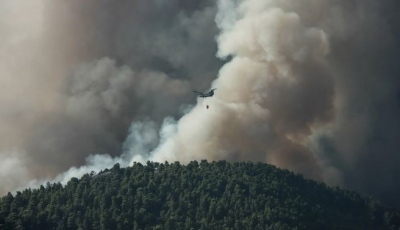 Νέο μέτωπο φωτιάς στην Ερέτρια της Εύβοιας, κοντά σε σπίτια - Ισχυροί άνεμοι δυσκολεύουν την κατάσβεση