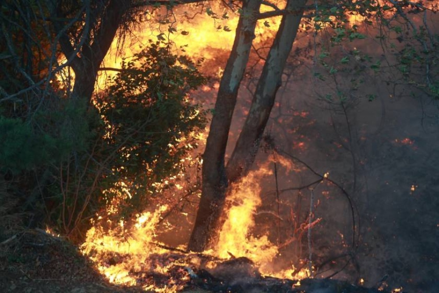 Πύρινος εφιάλτης στην Αττική – Κόλαση φωτιάς έκαψε σπίτια στον Βαρνάβα, στα 25 μέτρα οι φλόγες – 40 απεγκλωβισμοί