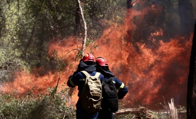 Φόβοι για αναζωπυρώσεις της πυρκαγιάς στο Σοφικό Κορινθίας - Εθελοντής υπέστη καρδιακό επεισόδιο